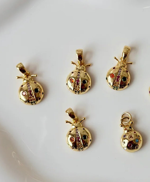 Ladybug Color Charm