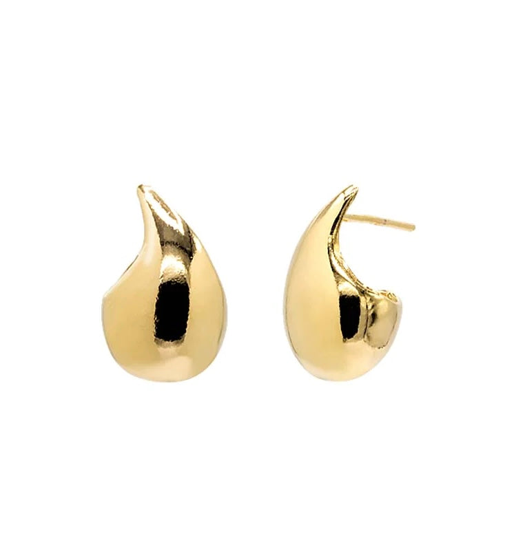 Teardrop Shape Earrings