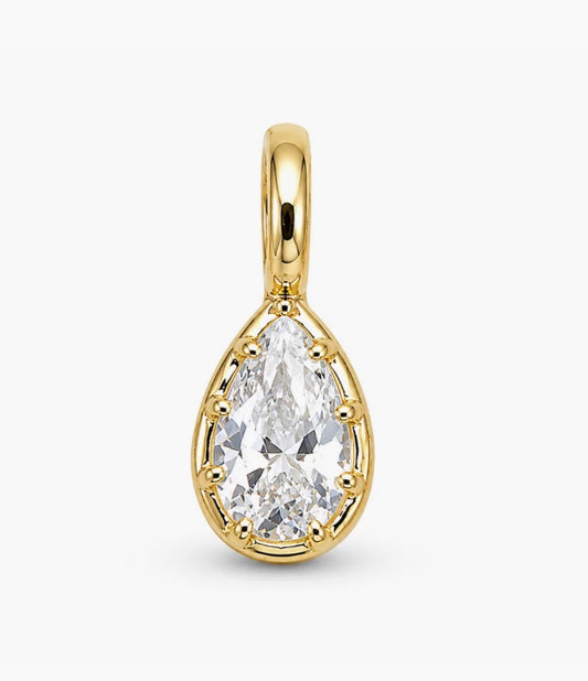 PEAR ICON CHARM